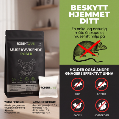 Plasser disse posene der mus gjemmer seg – og se dem forsvinne