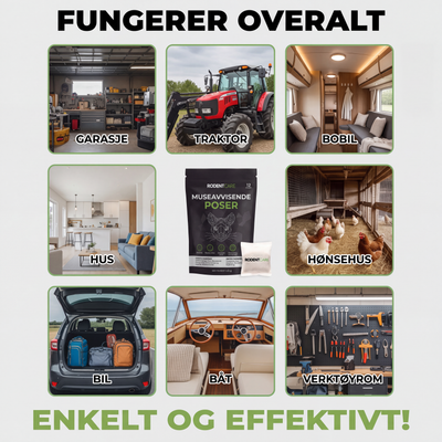 Plasser disse posene der mus gjemmer seg – og se dem forsvinne