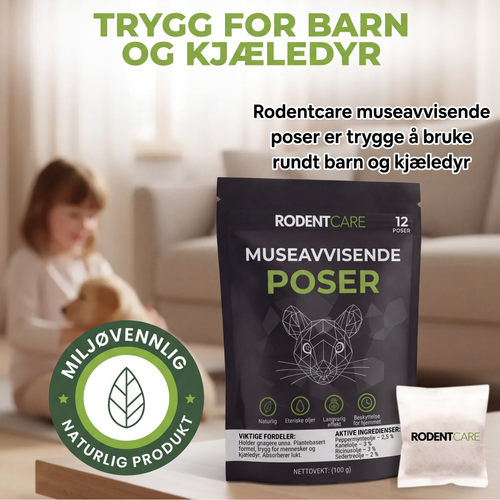 Plasser disse posene der mus gjemmer seg – og se dem forsvinne