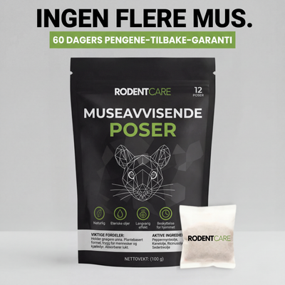 Plasser disse posene der mus gjemmer seg – og se dem forsvinne